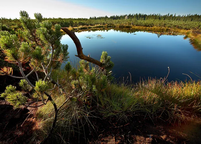 Planja - Rogla Отель 4*